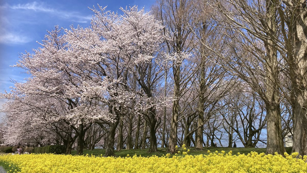 暇人ライダー黒丸　復活 tweet media