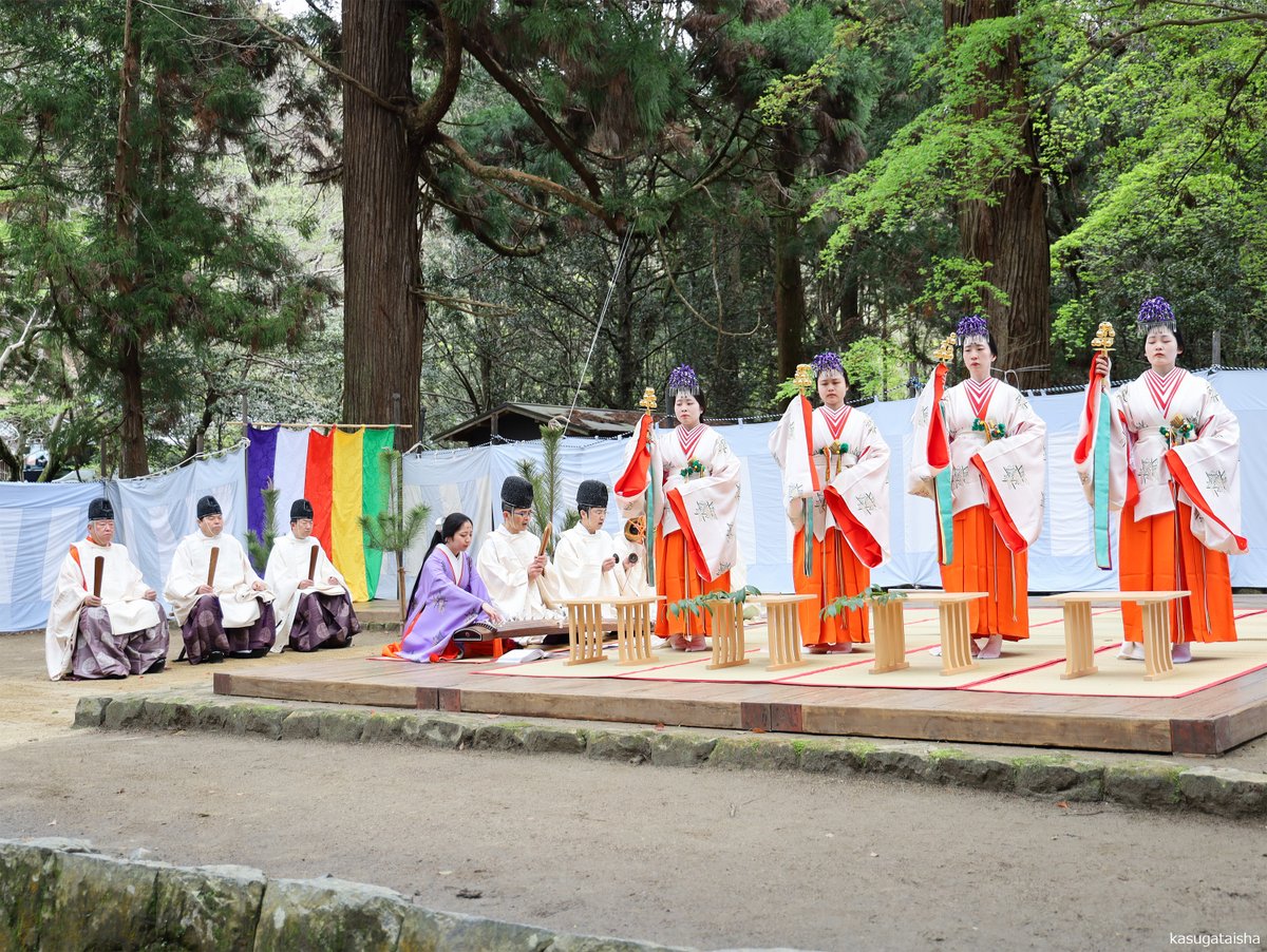 春日大社 kasugataisha shrine tweet media