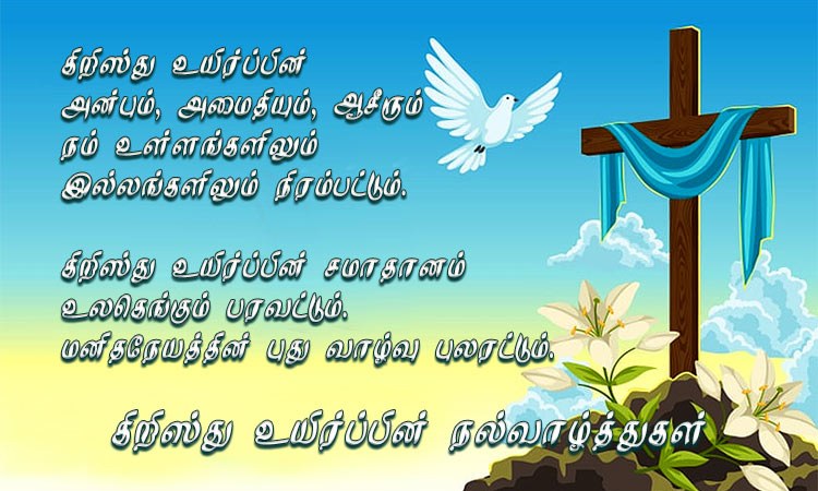 sipfriends's tweet photo. https://t.co/6WgtL8xuxv