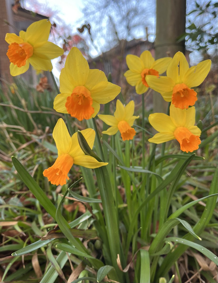 Wer Ostern kennt,
kann nicht verzweifeln.

Dietrich Bonhoeffer