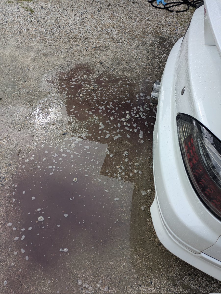 ｷﾀﾈ…(  ･᷄ὢ･᷅ )