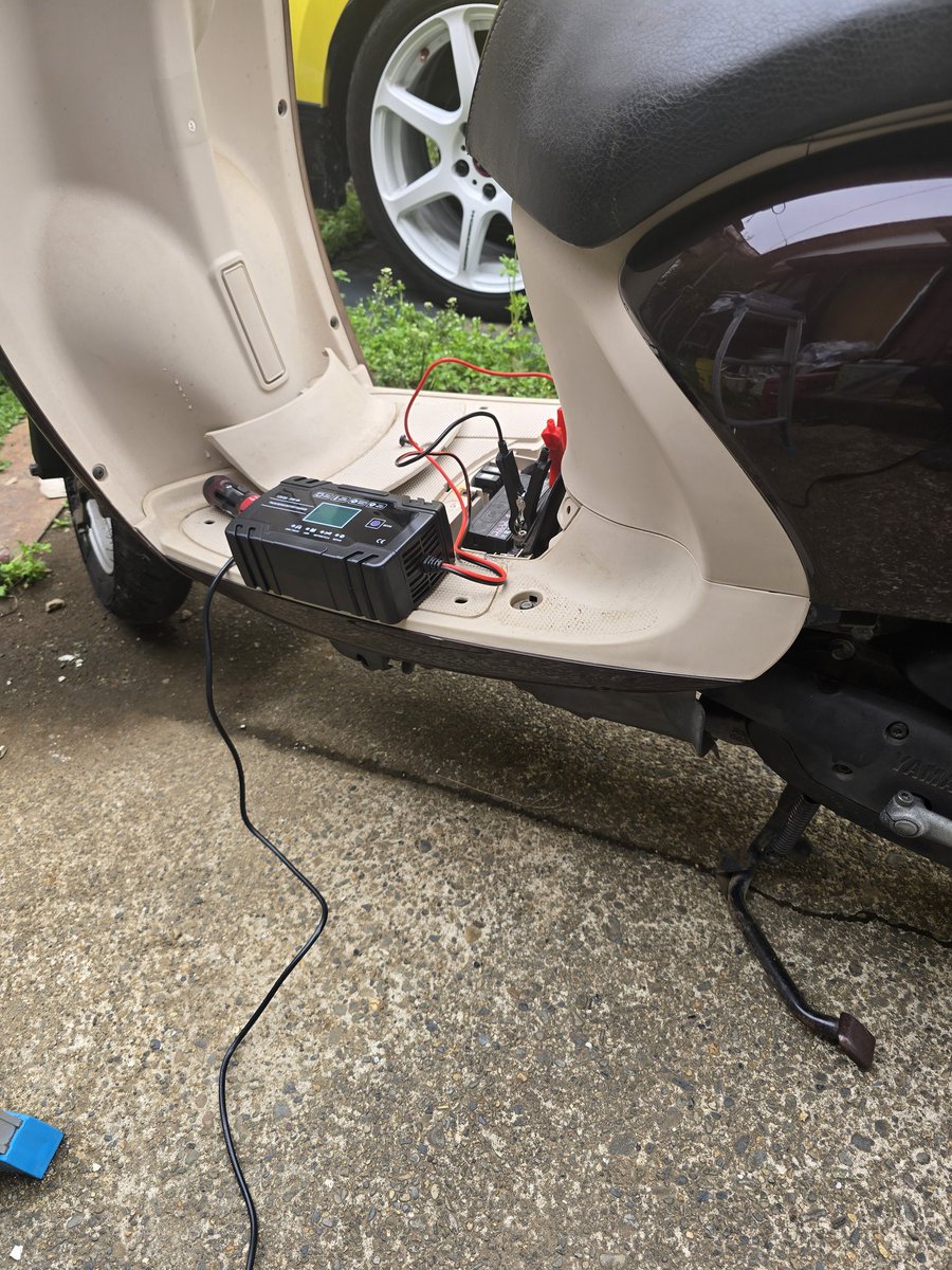 ハス山さん tweet media