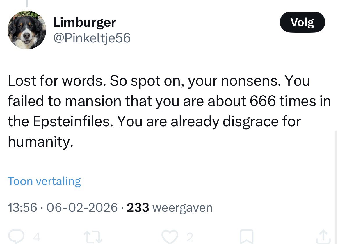 Paris Haming tweet media