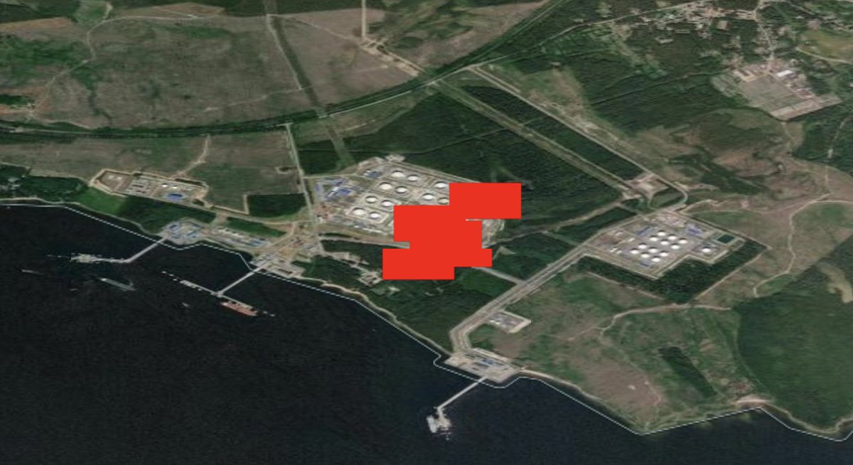 WarTranslated tweet media