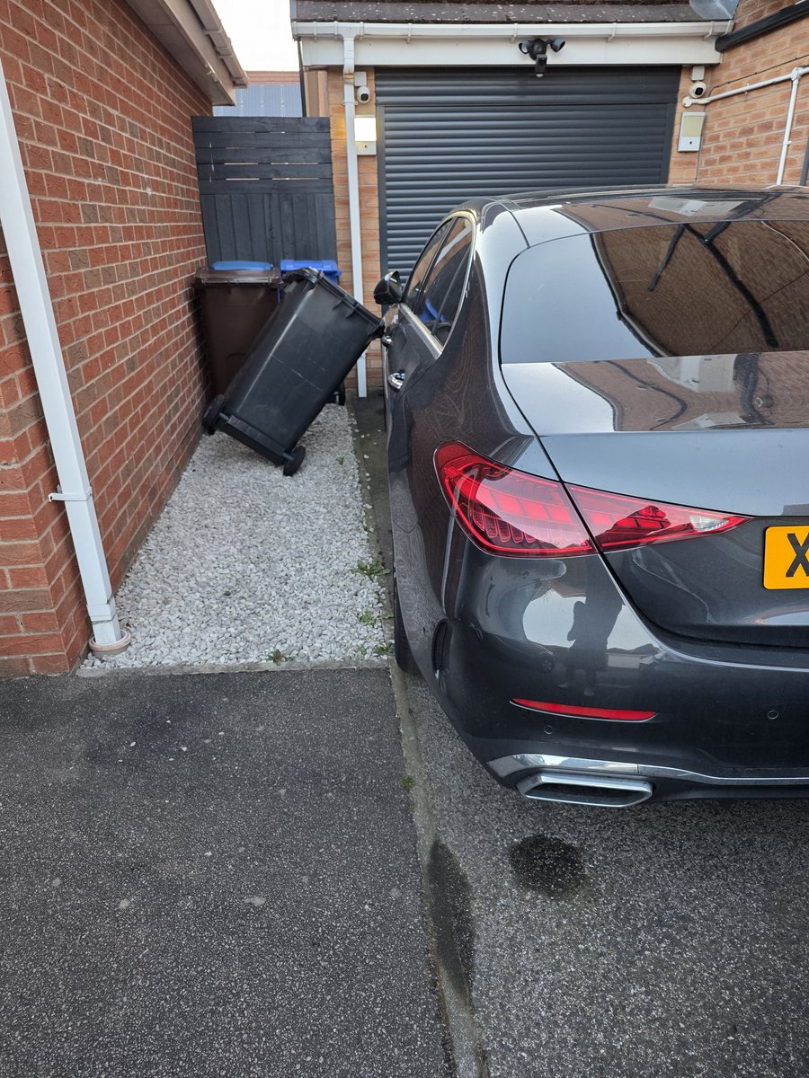 Woof The TOP Hung Alpha Pup 🔞 tweet media