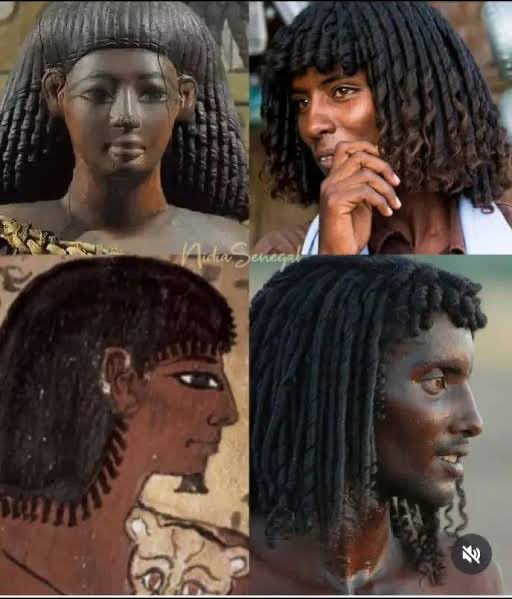 Shar Za’ab-Ya’oh tweet media