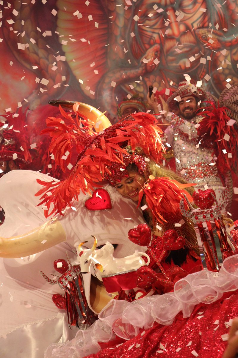 Boi Garantido tweet media