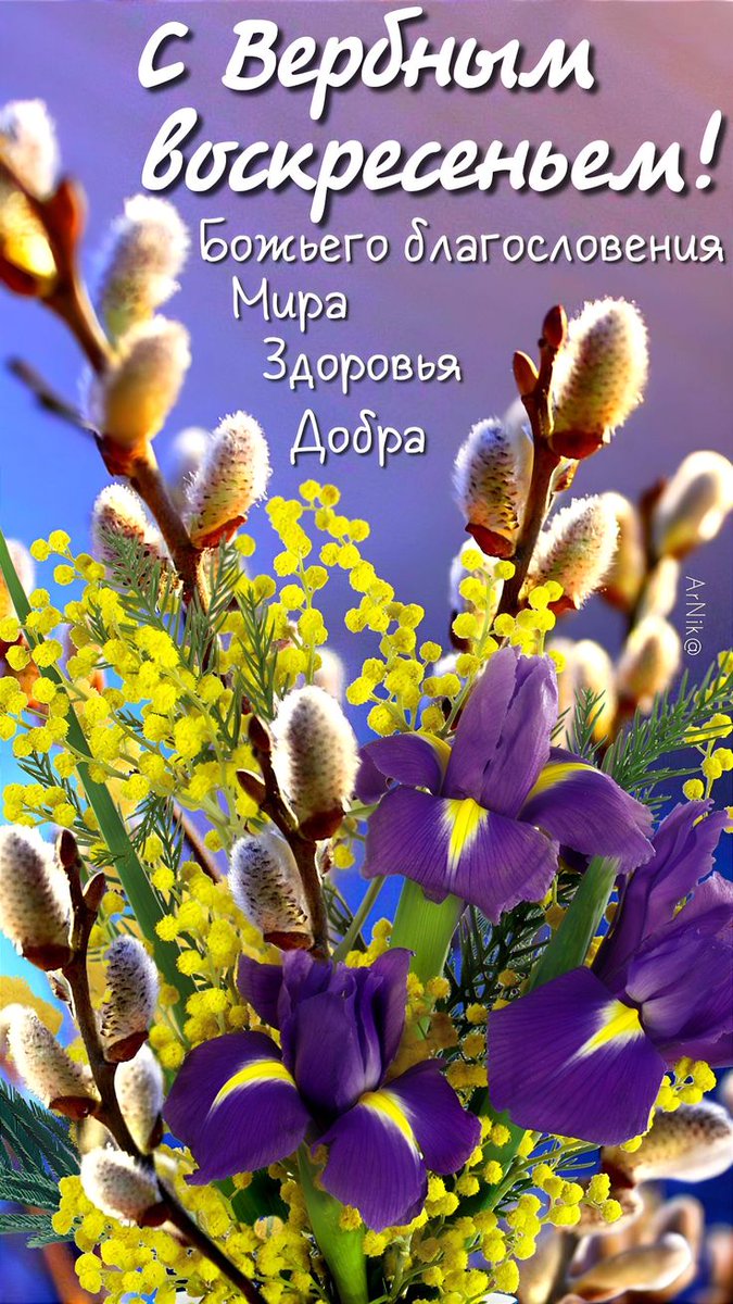 Галина Бушуева tweet media