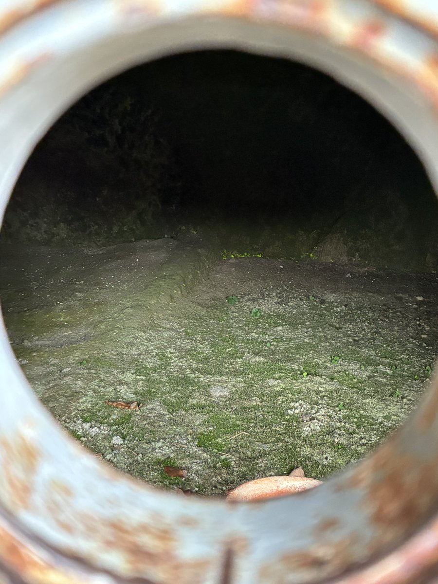 harapeko7253's tweet photo. 吉見百穴、思いの外ボリュームあった。軍需工事跡は入れなくなってたけど、入り口立つだけでヒンヤリ冷気。 https://t.co/mC1dMiFjeO