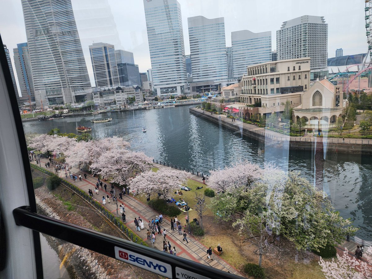 モカラテ🎵💜 tweet media