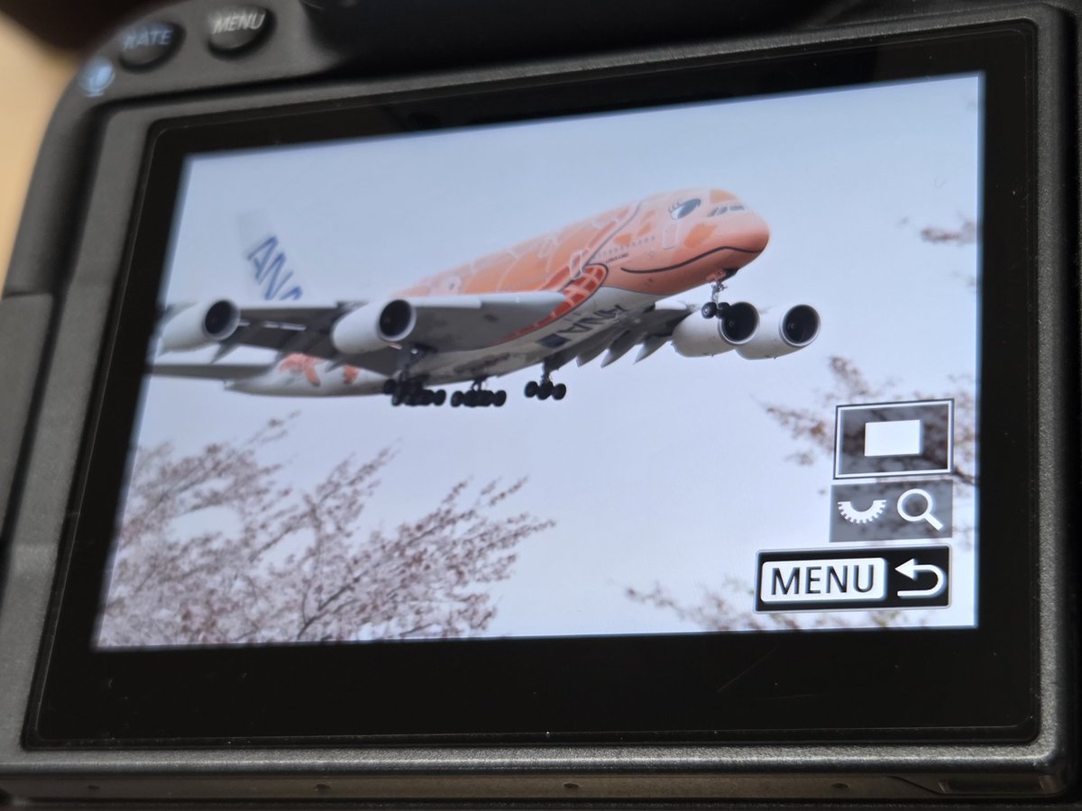 𝙚 𝙞 𝙞 𝙘 𝙝 𝙞 🌞 tweet media