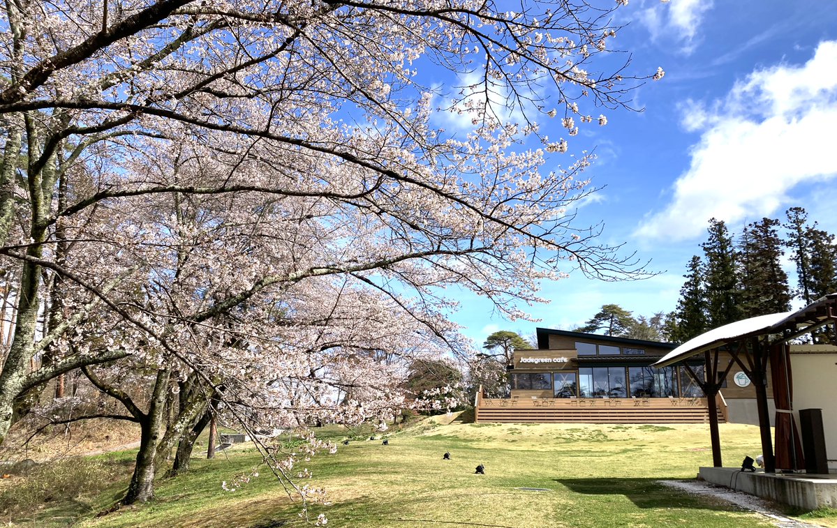🌸Greenhill park🦊サウナアンドスパグリーン＆Jadegreencafe営業中‼ tweet media