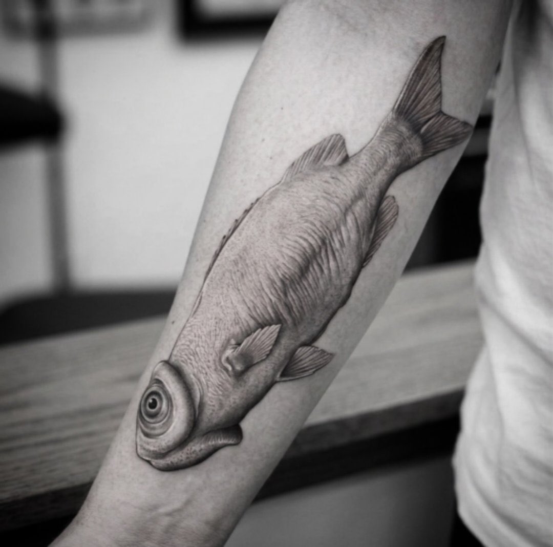 Thợ Tha Thu tweet media