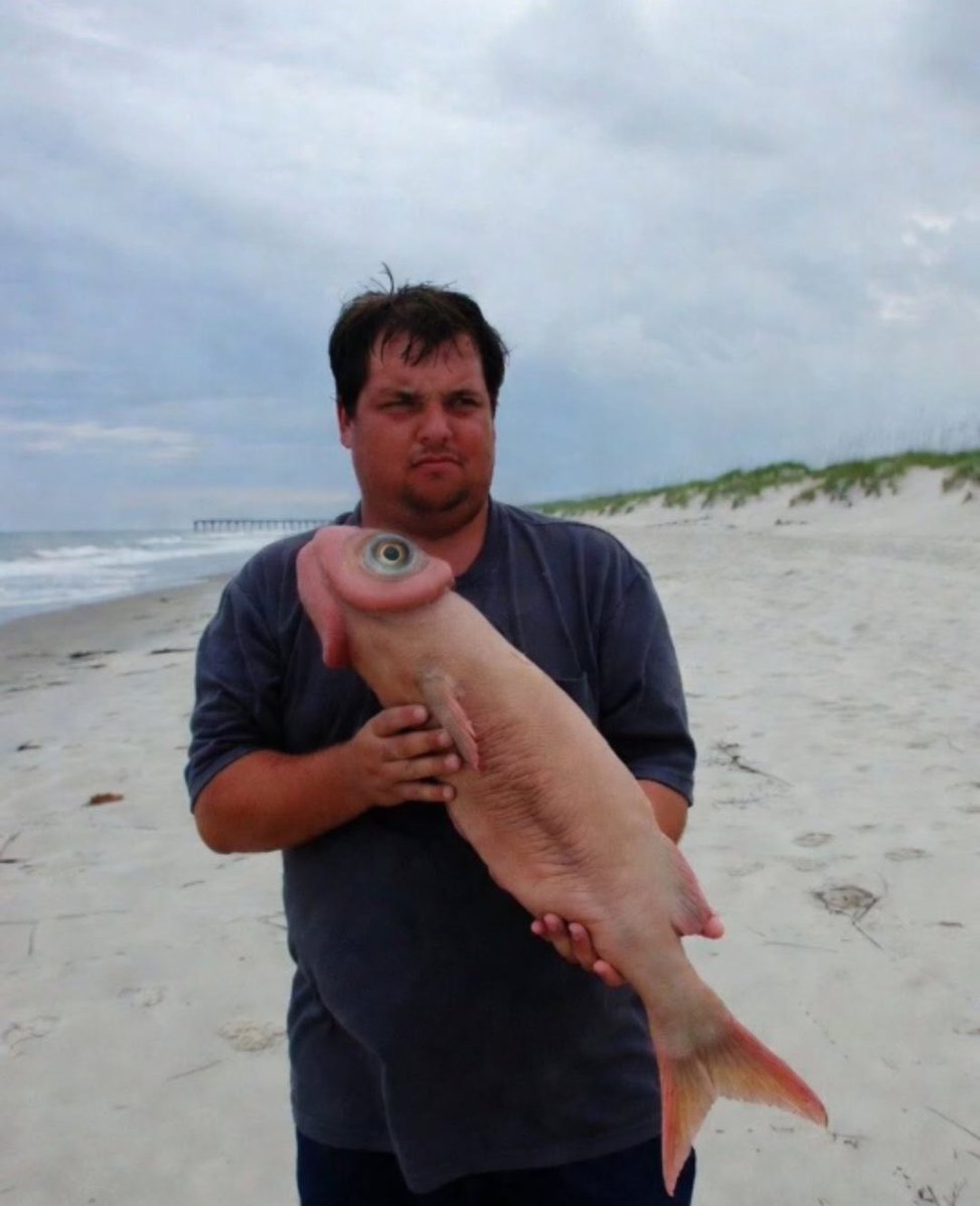 Thợ Tha Thu tweet media