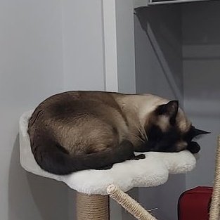 bugsmilo tweet media