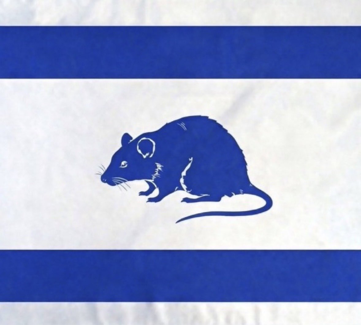 mouaad31🇵🇸☪️⚔️ tweet media