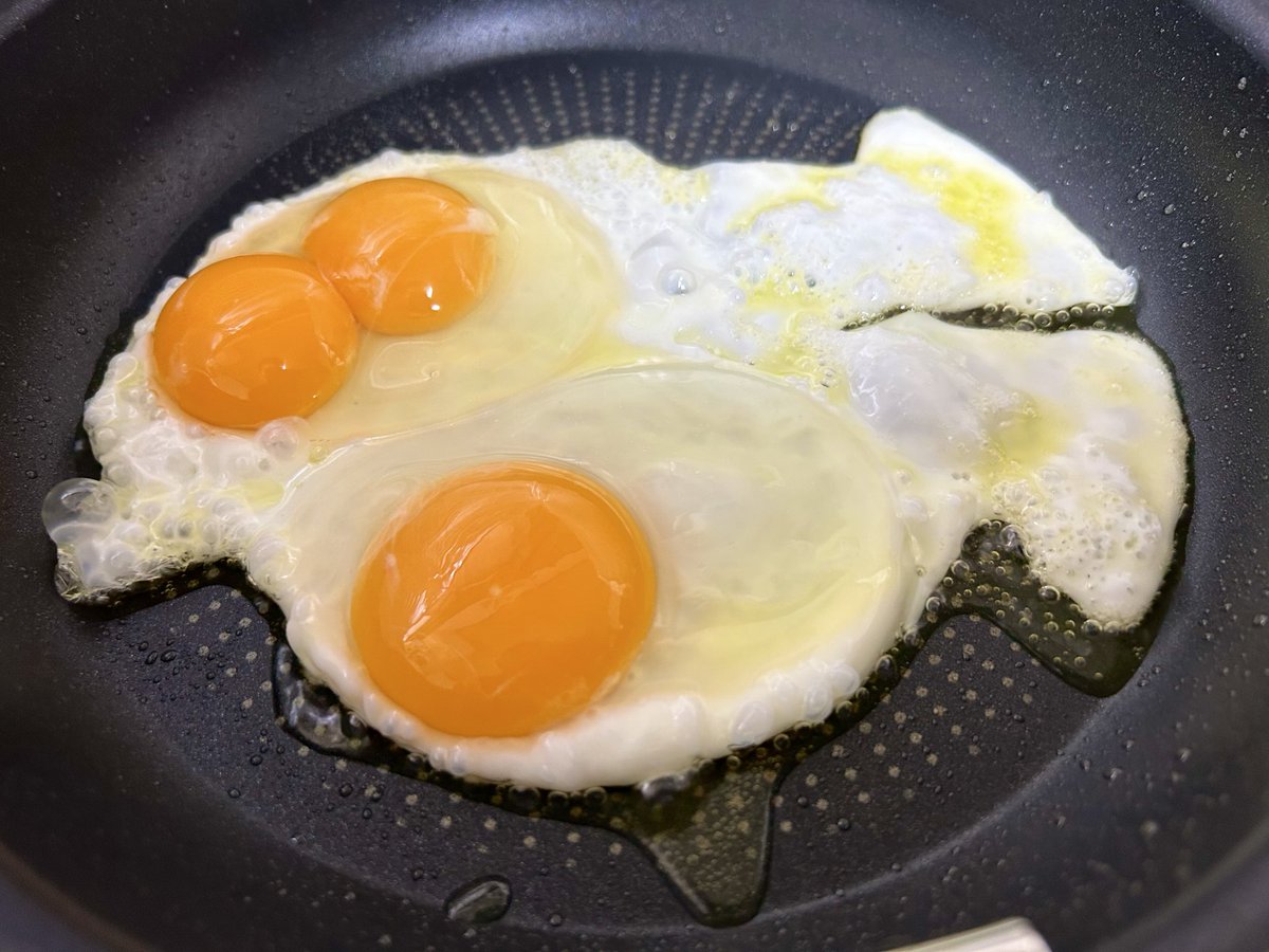 エイト(spacechannel8)(スペースチャンネルエイト) tweet media