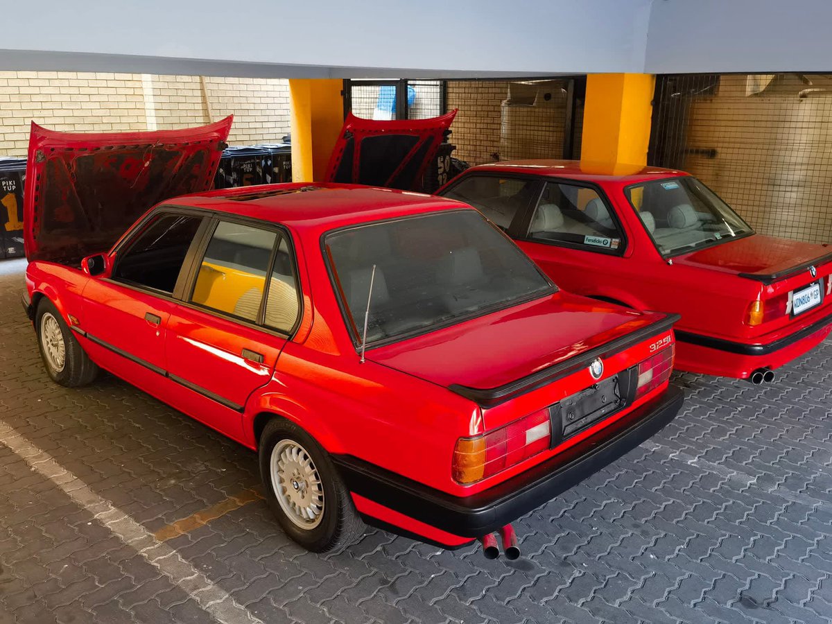 lepara 🦅 tweet media