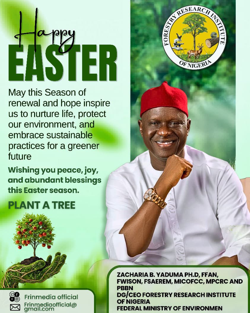 FRINMEDIA tweet media