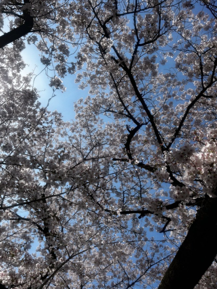 숨이로운 tweet media