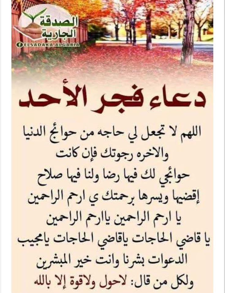 🇩🇿🌹الفارس أحمد🇩🇿💓 tweet media