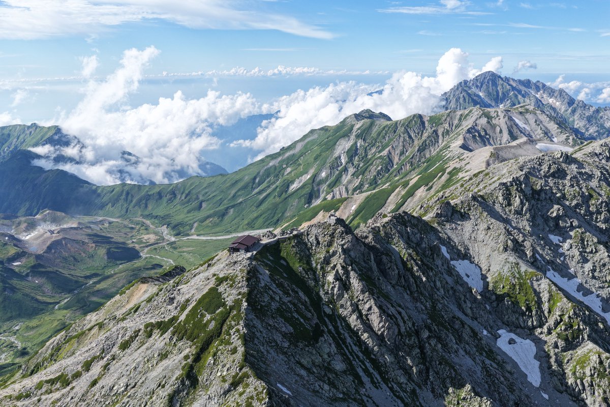 Higty@TinyBetter CEO tweet media