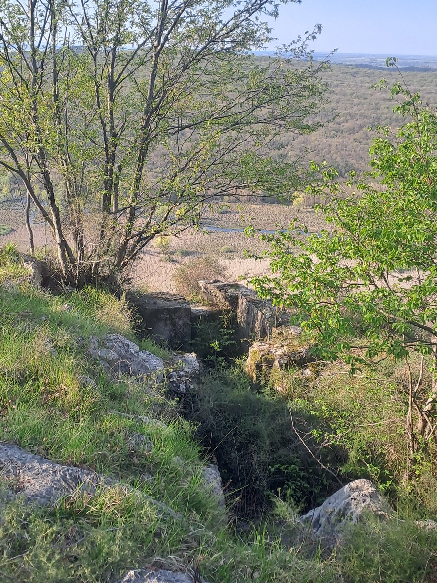 Roberto Bertoli tweet media