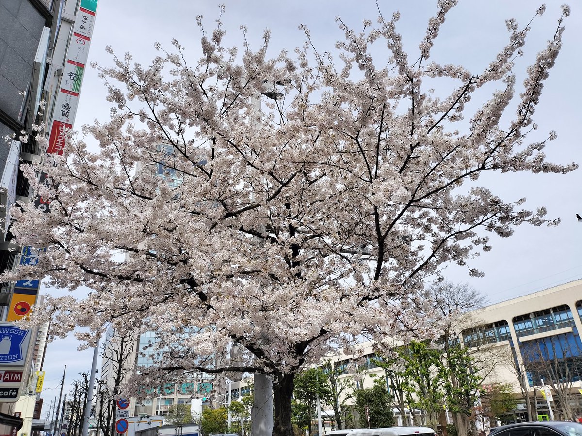 オヴJ太郎@E-Mag tweet media