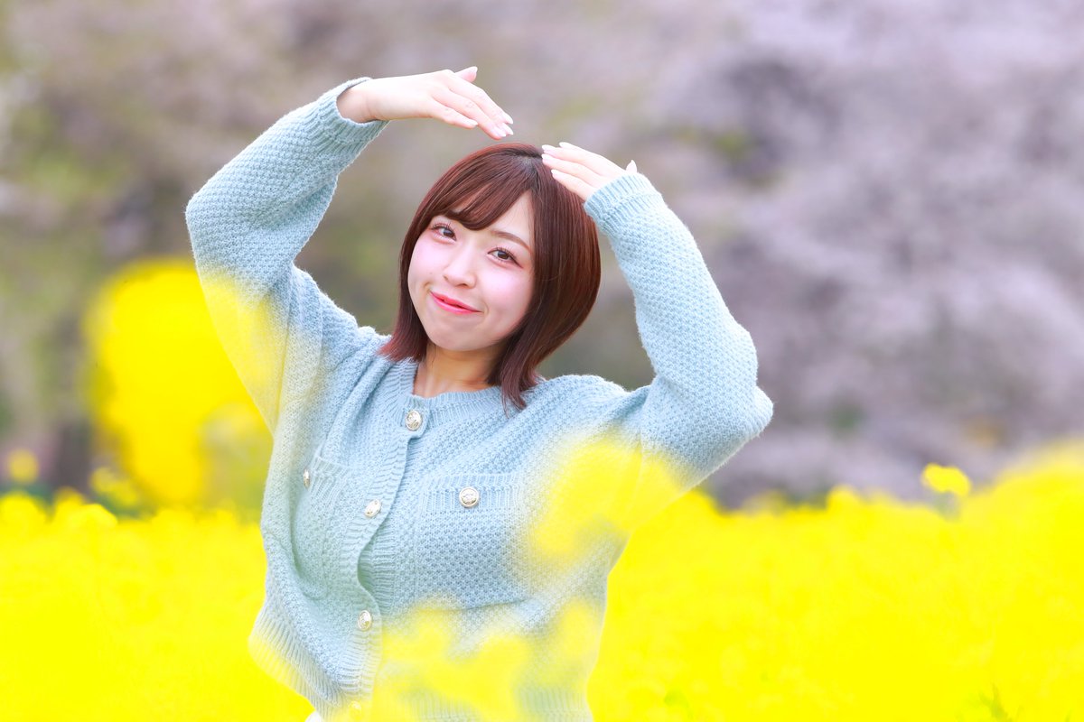 F1 press tweet media