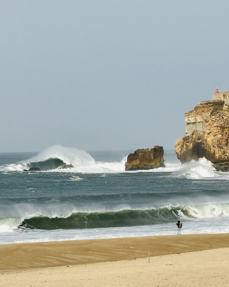 Meningioma Host tweet media