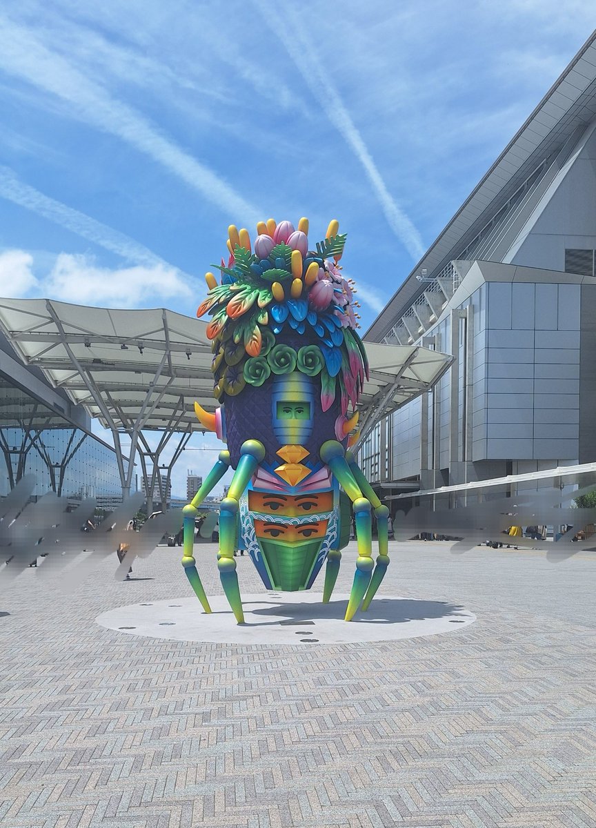 花✴️6月福岡 tweet media