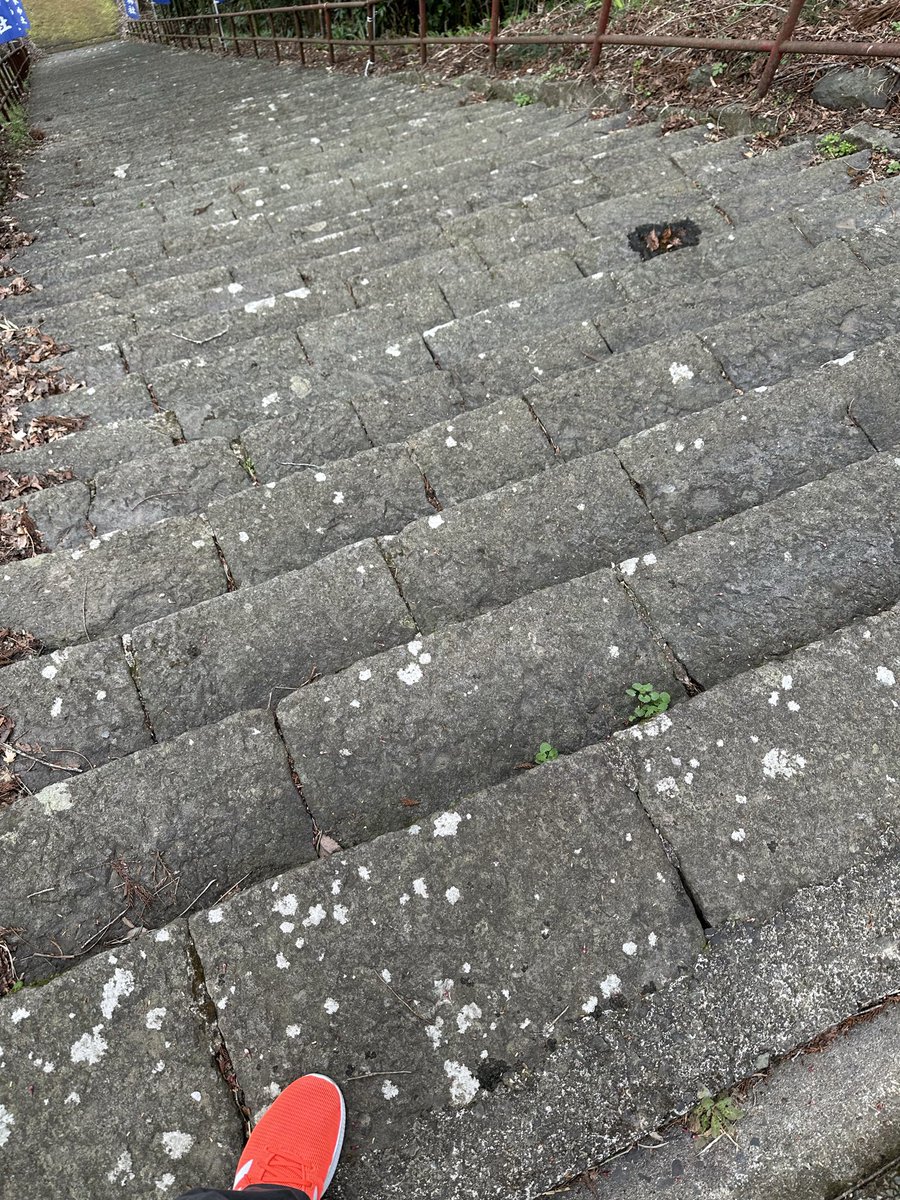 奥羽の独眼竜【公式】 tweet media