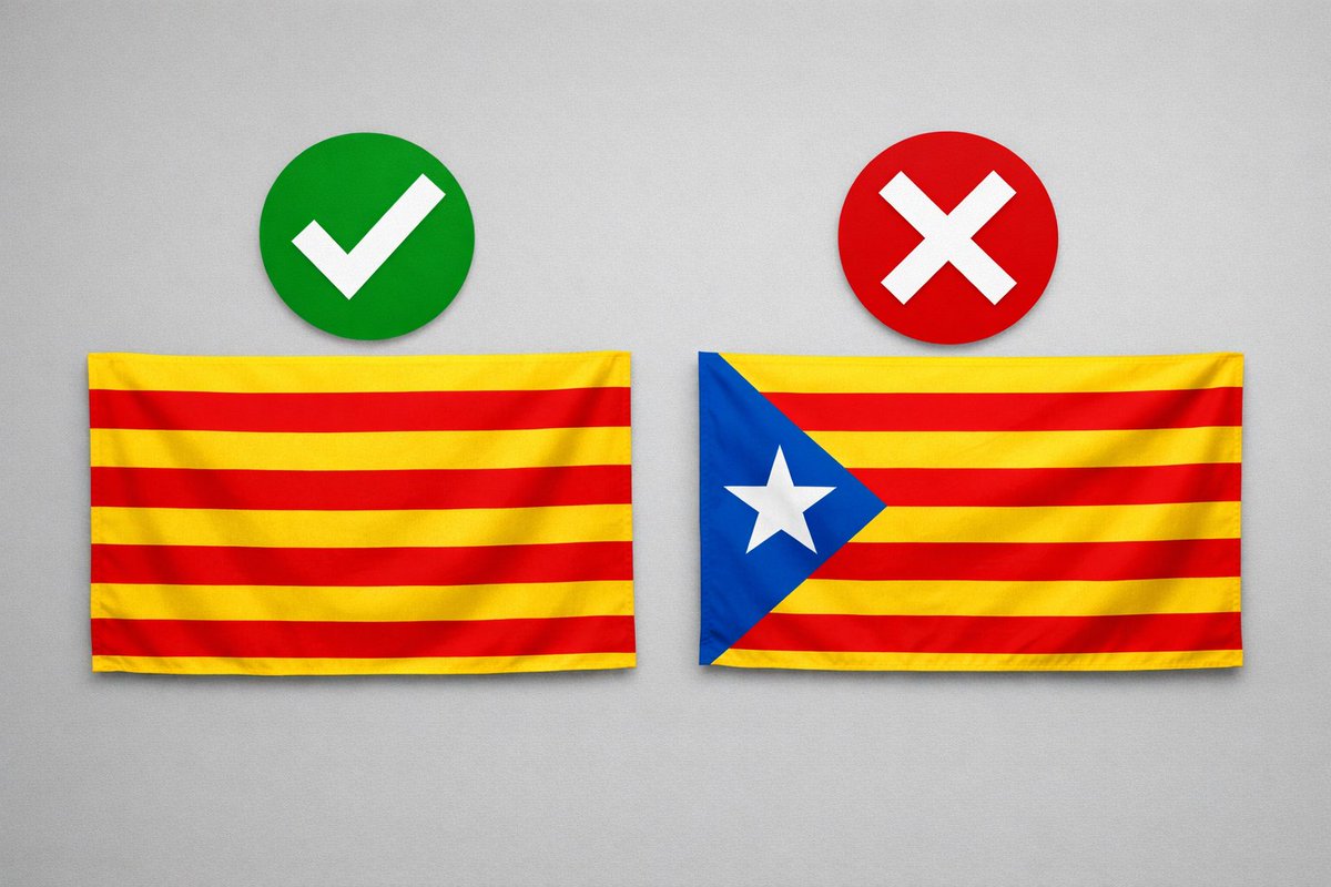 Andrea D'Angelo Serra tweet media