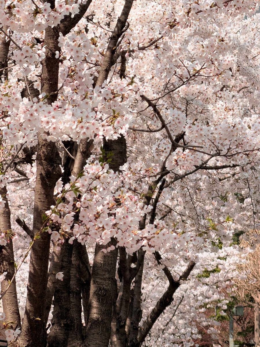 햄민이 tweet media