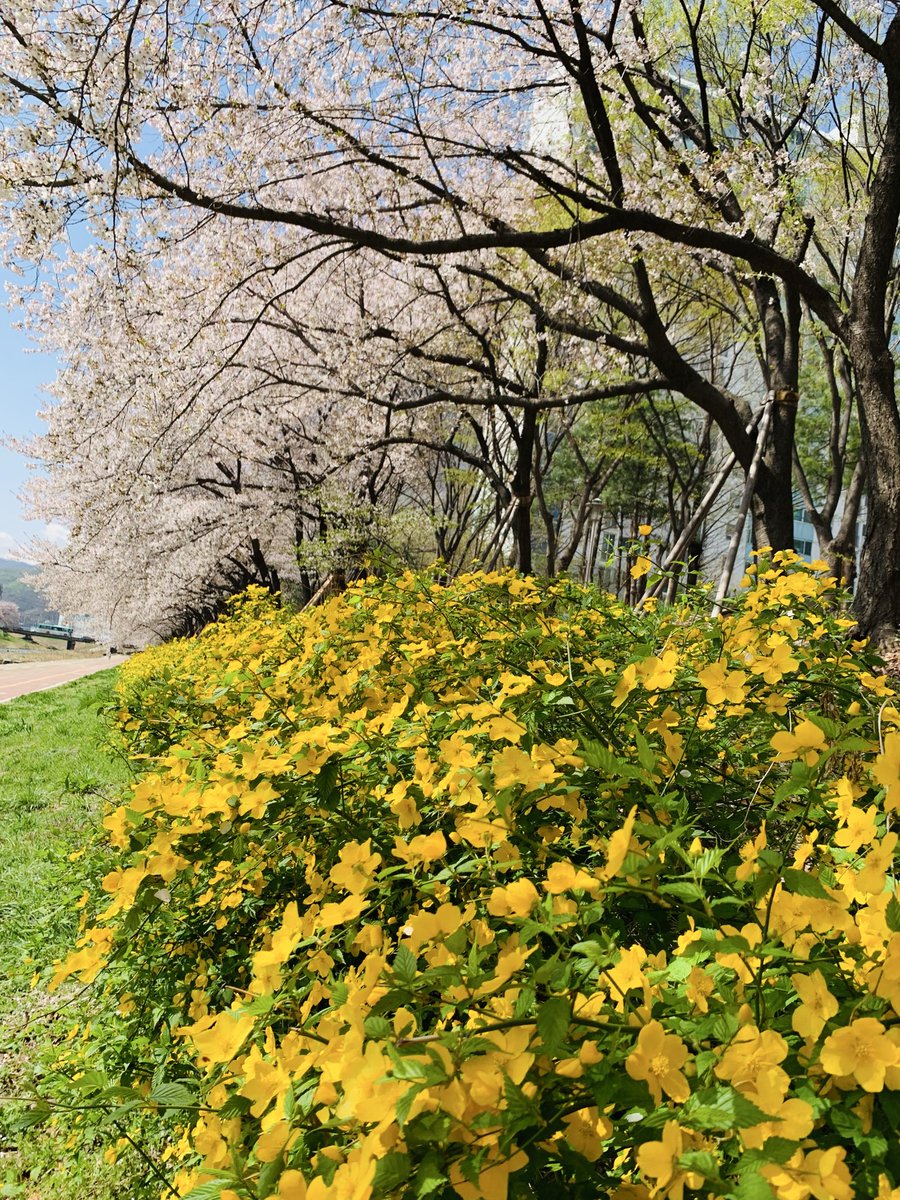 김희숙 tweet media