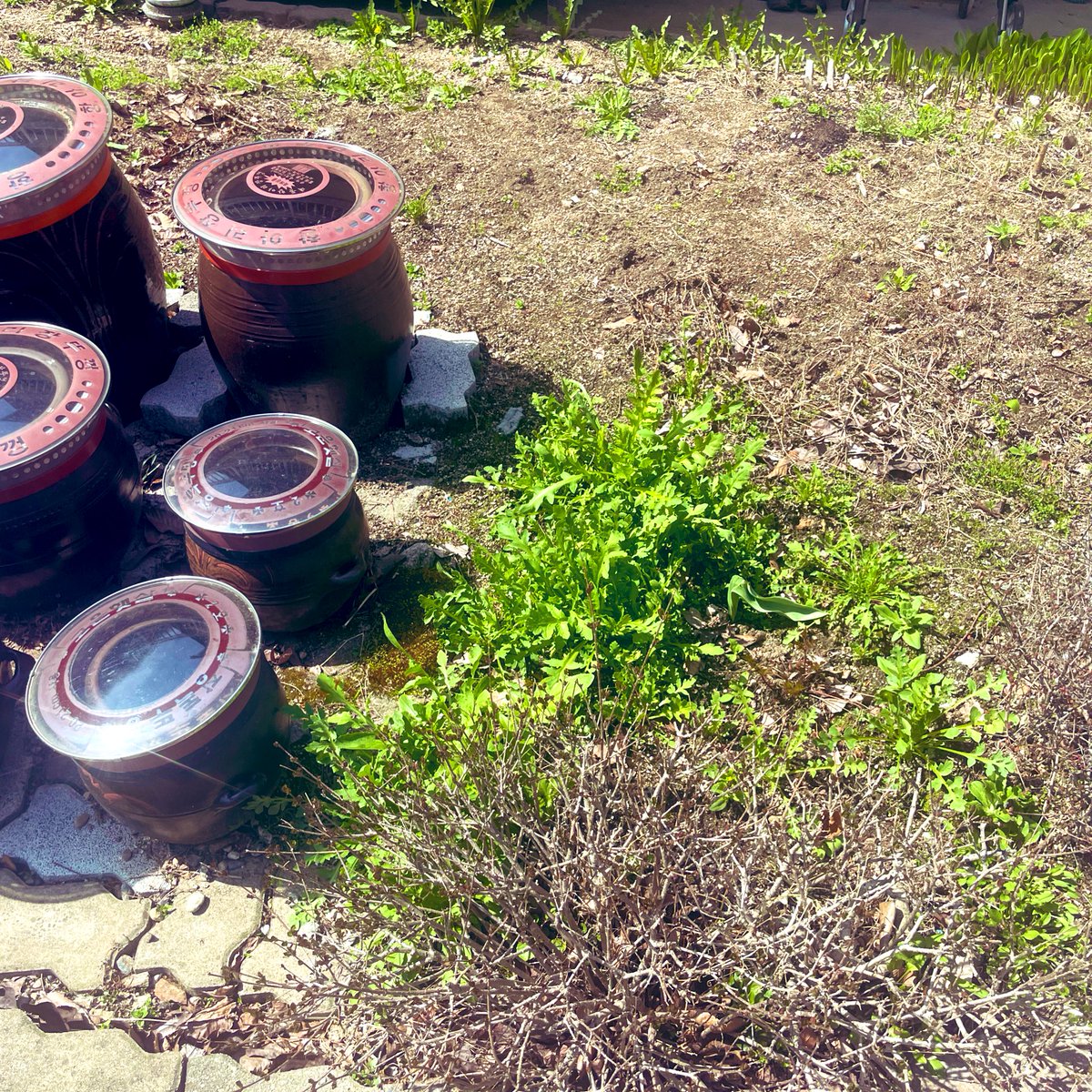 박작가 tweet media