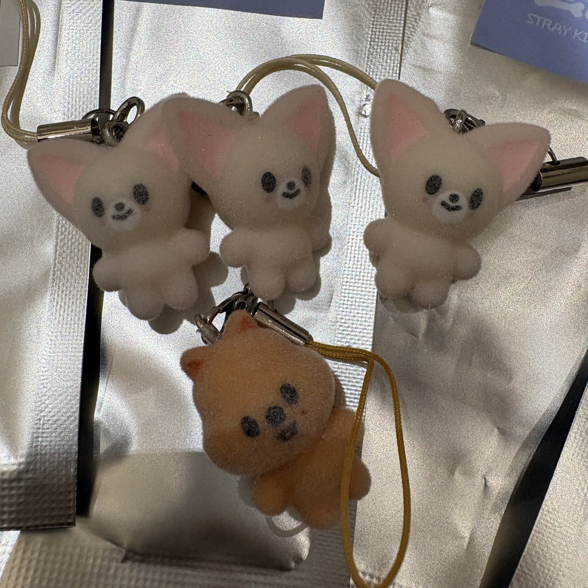 stay_hit tweet media