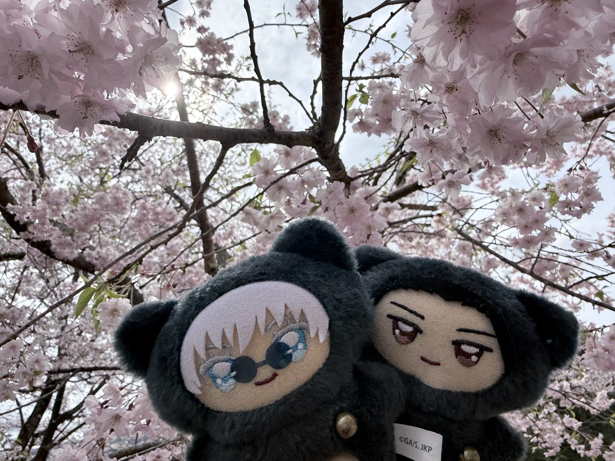 Mii-Chang🐇 tweet media