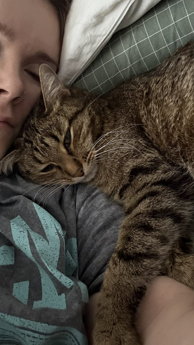 Занудный дракон 龙啰嗦 tweet media