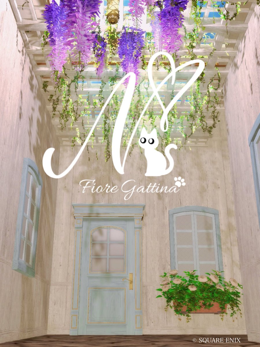 ˚*.꒰にゃこ꒱.*˚ tweet media