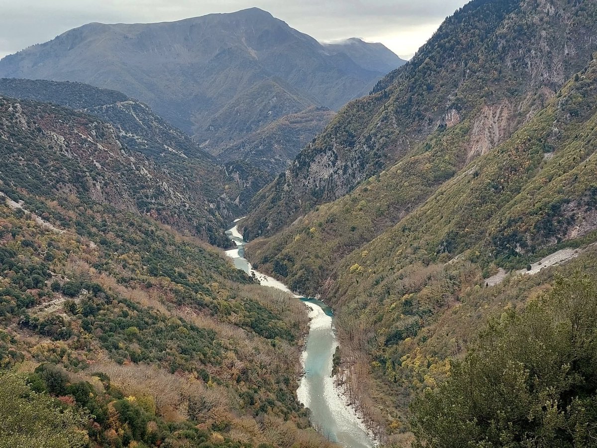 Kostas Kiriazis tweet media