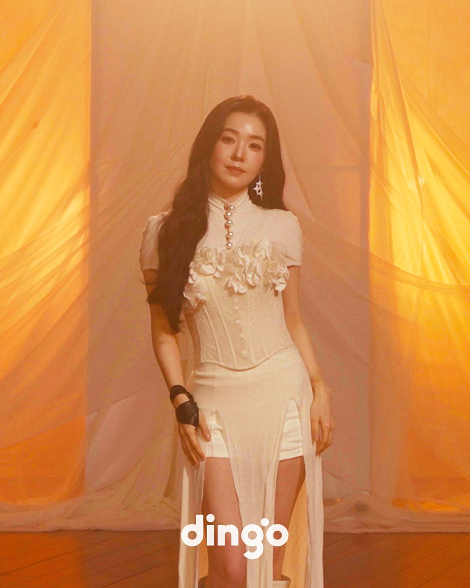 dingo(딩고) tweet media