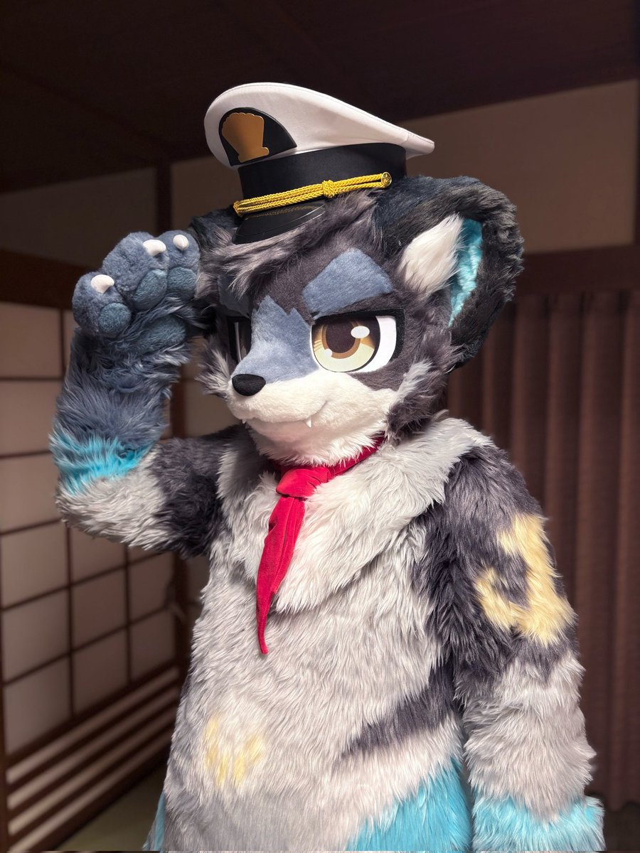 Cydia180's tweet photo. @furmony 様より
ラッコのタフくんをお迎えしました🦦

イベント等参加していきたいと思いますので
皆様よろしくお願いします！！

#furmony #鸿萌造物 https://t.co/JtZ4vVL9ir
