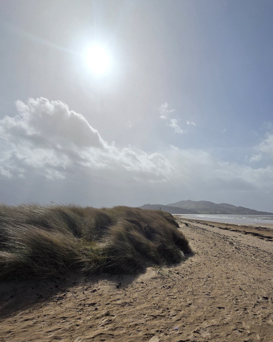 Inish View tweet media