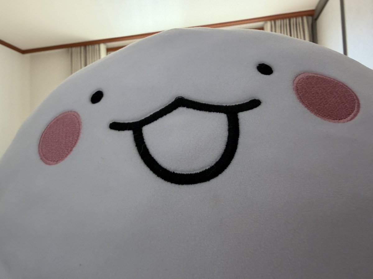 김자라 tweet media