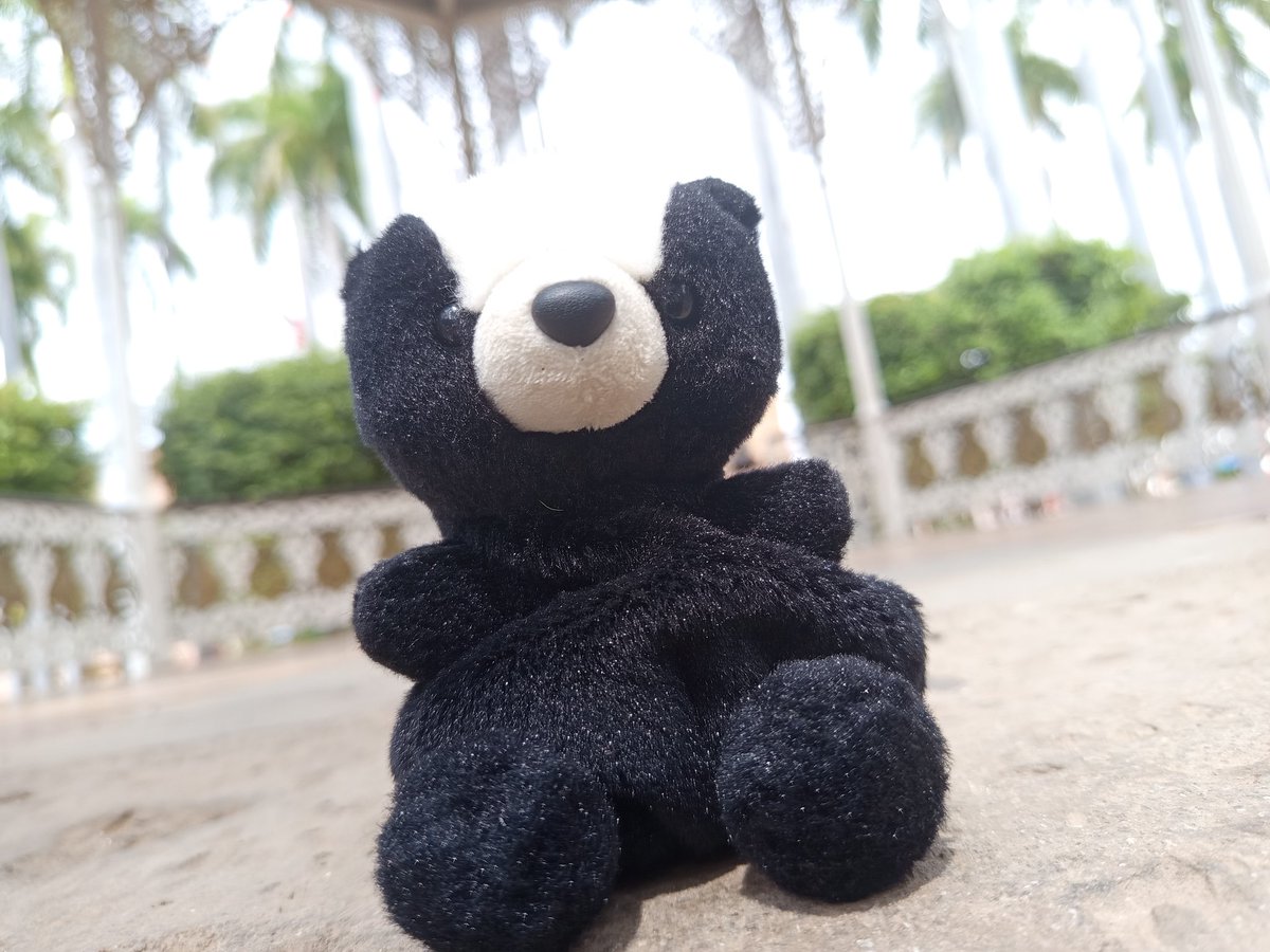 SilverIceSkunk's tweet image. (94/230) 🦨 🩵 🦨 
Traveling 
#skunk #skunks #skunkart #skunkfurry #art