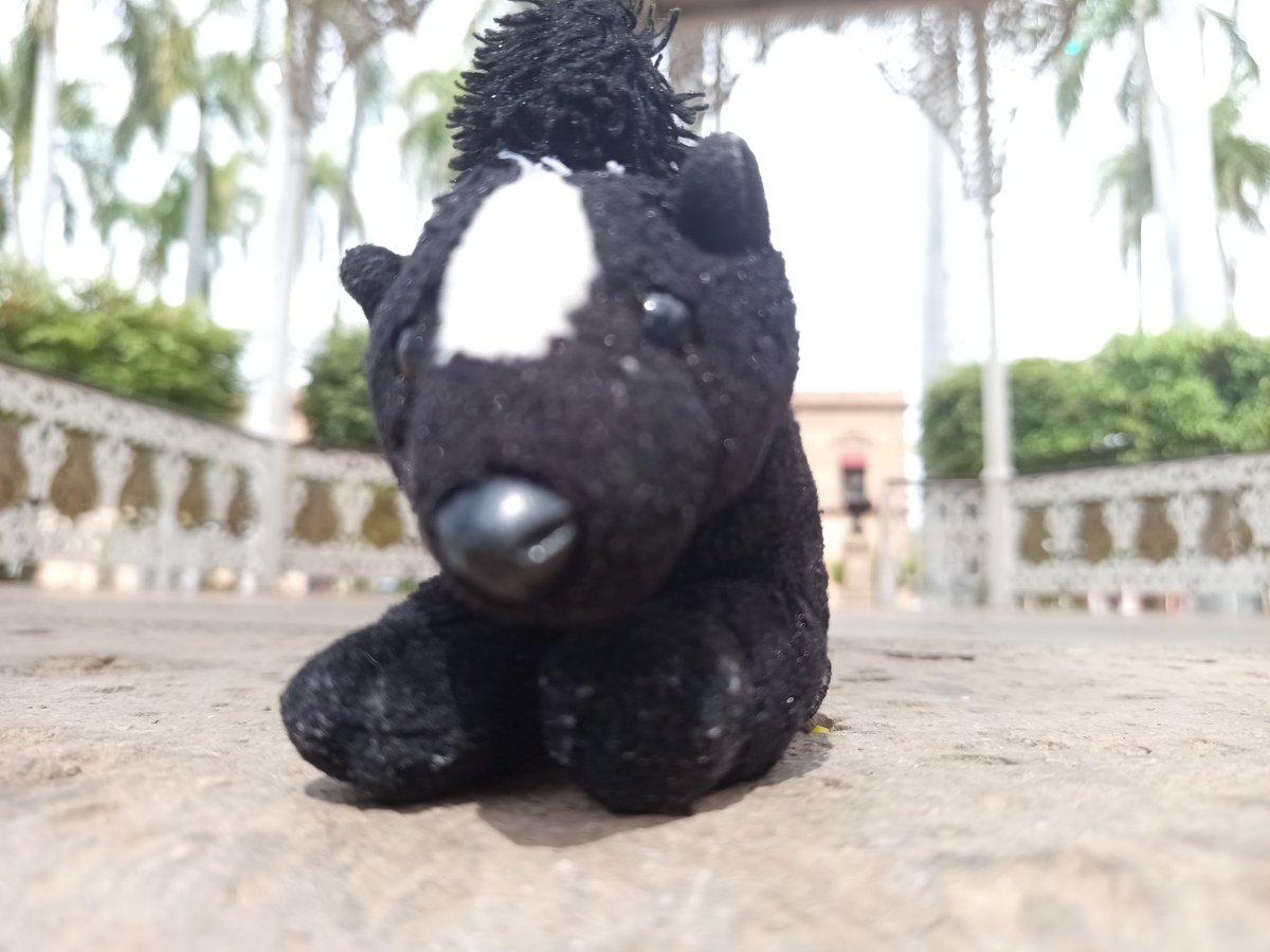 SilverIceSkunk's tweet image. (94/230) 🦨 🩵 🦨 
Traveling 
#skunk #skunks #skunkart #skunkfurry #art