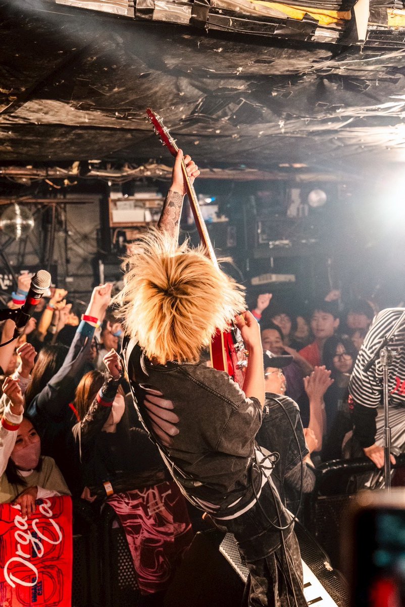 ใทใณใปใญใใฏๅๅณถ tweet media