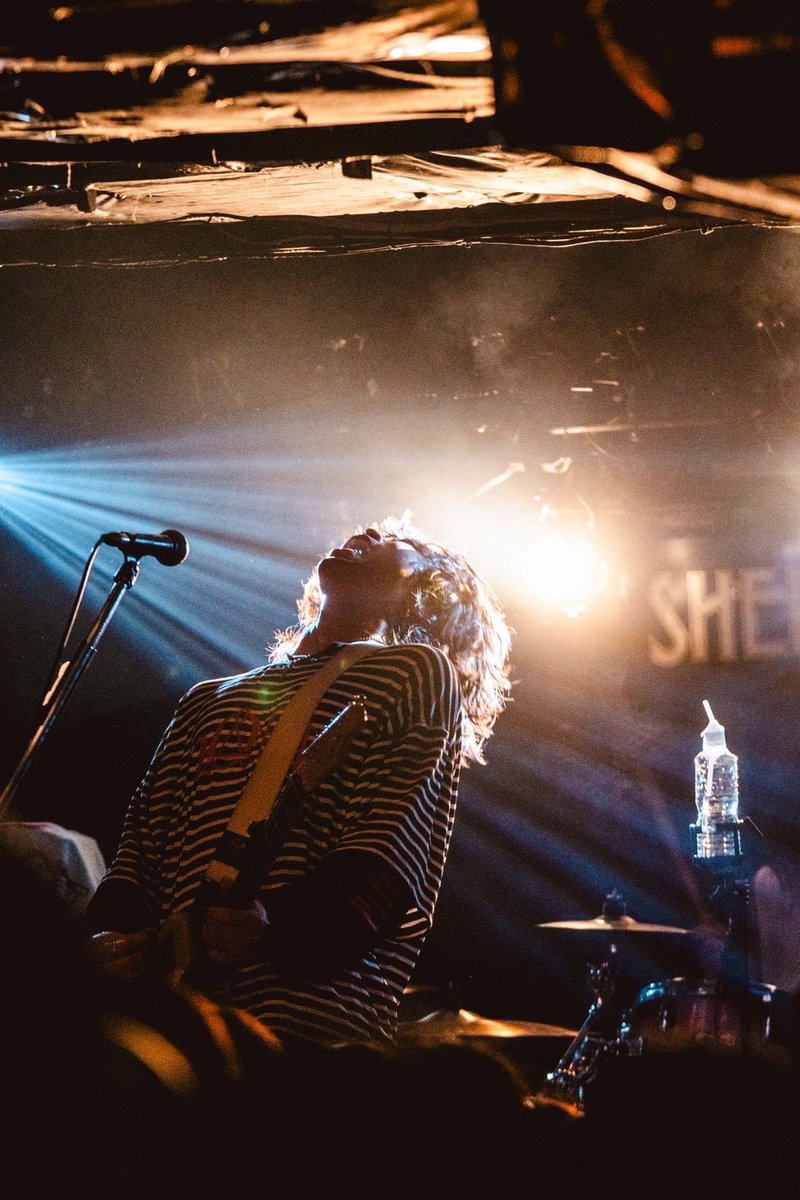 ใทใณใปใญใใฏๅๅณถ tweet media