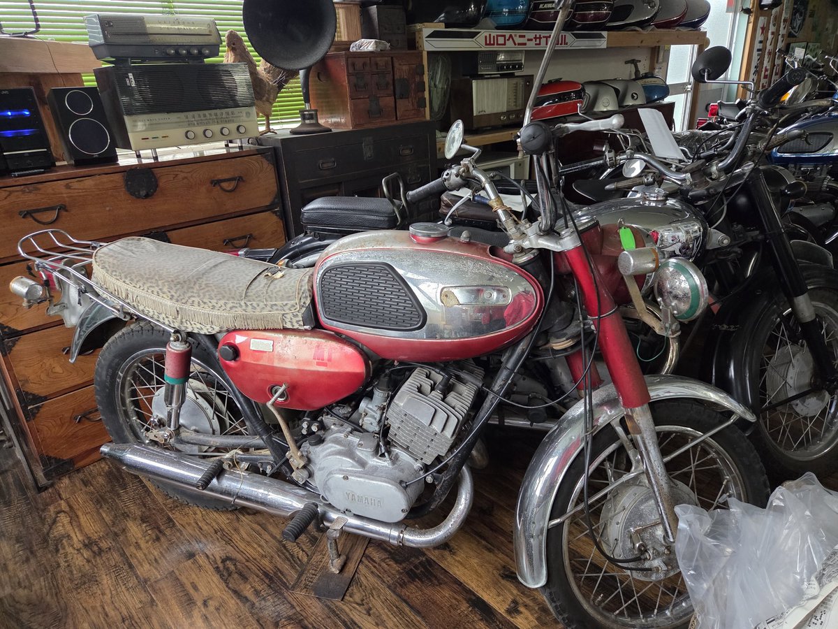 ﾌｫﾚｽﾄ tweet media